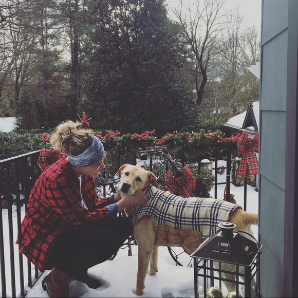 Meet the Posher - Picture 3 of 3